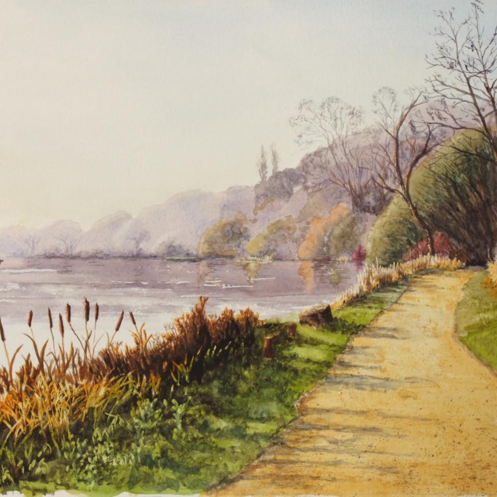 Coombe-January Light