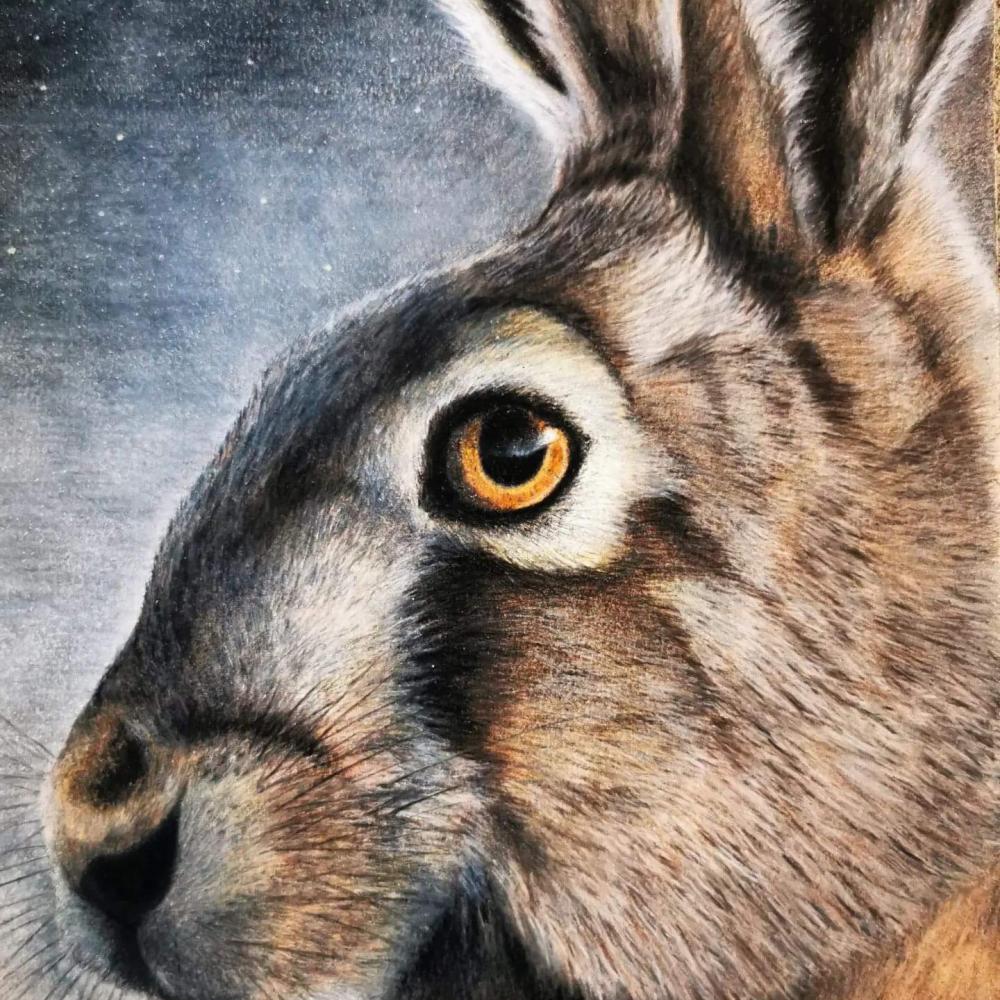 Hare2