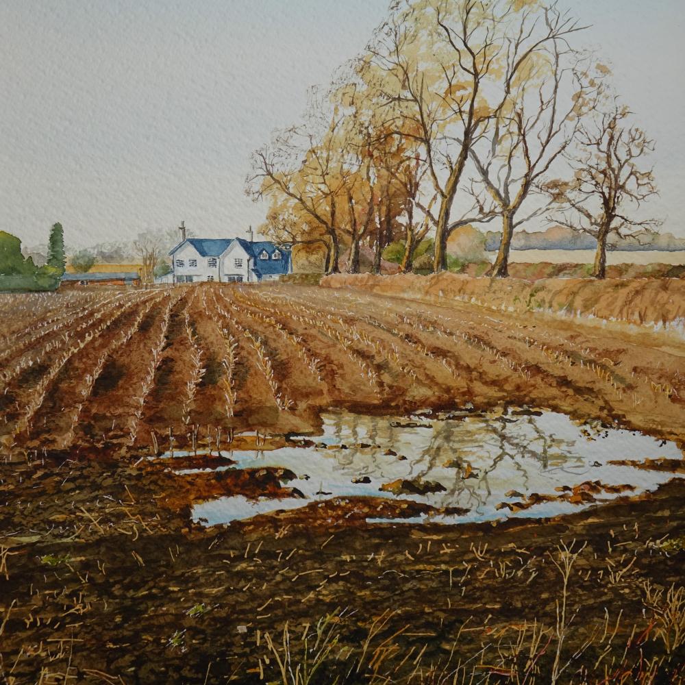 Fosse Cottage Farm